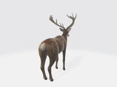 A brown deer with large antlers 3D model