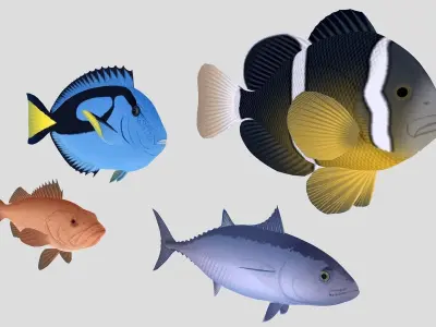 Fish Collection 04 Low-poly 3D model