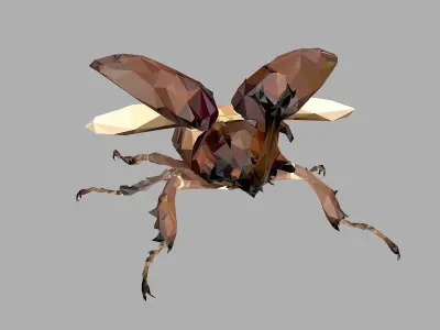 Chafer Beetle Low Polygon Art Insect Low-poly 3D model