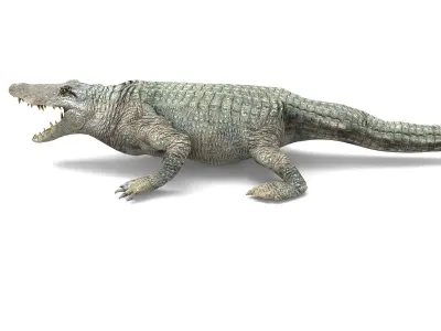 Crocodile Rigged 3D Models game ready Low-poly 3D model