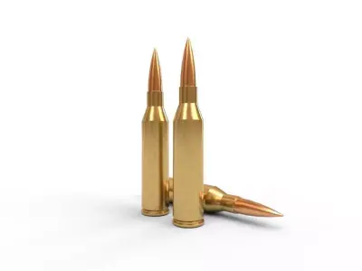 300 Norma Magnum Ammo Low-poly 3D model