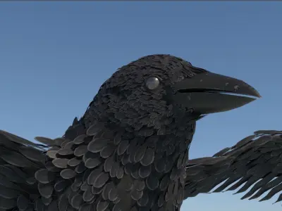 Raven Black Crow Rigged Low-poly 3D model