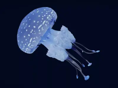 Tropical Jellyfish Phyllorhiza  Animated 3D model
