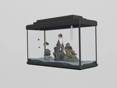 ready-made aquarium with fish 3D model