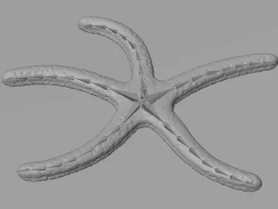 -Blue Stafish - Linckia Laevigata Rigged- 3D model