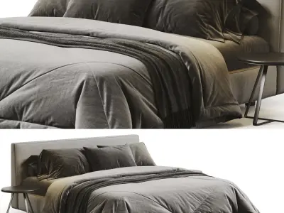 Ray Bed 3D model