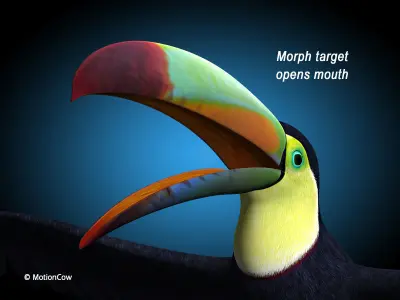 Toucan B - Flight 3D model