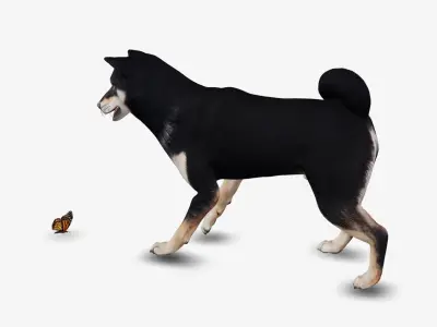Dog Shiba Inu Low-poly 3D model