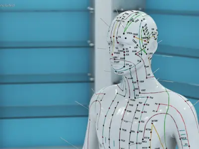 Male Acupuncture Anatomy Chart with Needles 3D model