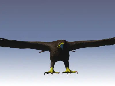 Low Poly Eagle model in flight Low-poly 3D model