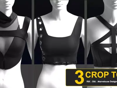 3 CROP TOPS 3D model