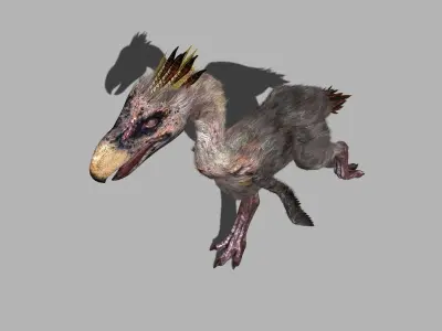 Terror Bird Phorusrhacos 3d model 3D model