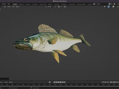 Perch Fish Low-poly 3D model