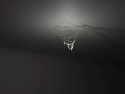 40 High Detailed COBWEBS 3D model