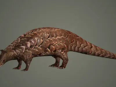 mammal african maya pangolin asian asia animal 3D model