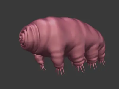 Tardigrade - Microscopic Water Bear - Moss Piglet Low-poly 3D model