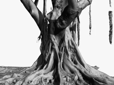 Giant Old Ficus Tree 5x24k textures RAW 3D scan 3D model