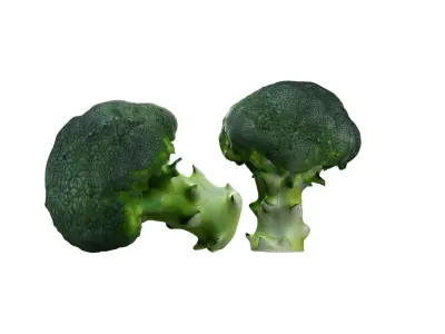 Broccoli scan Free low-poly 3D model