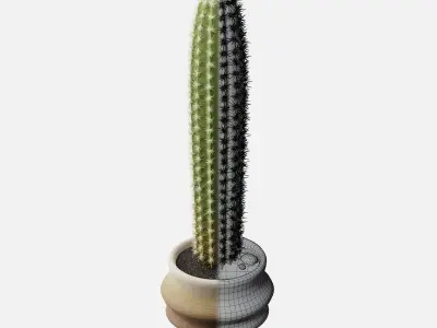 Realistic Cactus with pot ground and little stones included Free 3D model