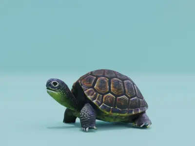 Turtle in Shell Free low-poly 3D model
