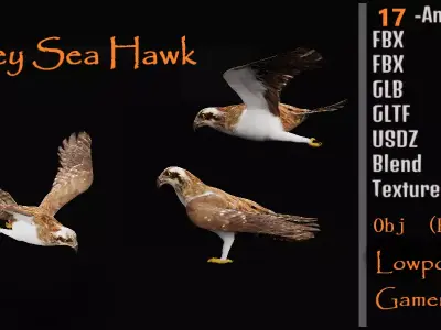 Osprey Sea Hawk Bird Low-poly 3D model