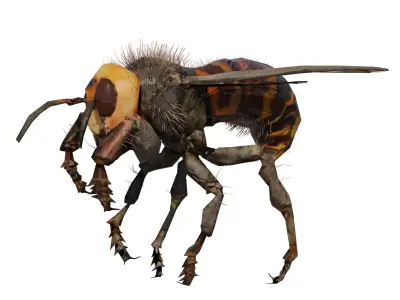 3d animated bee Low-poly 3D model