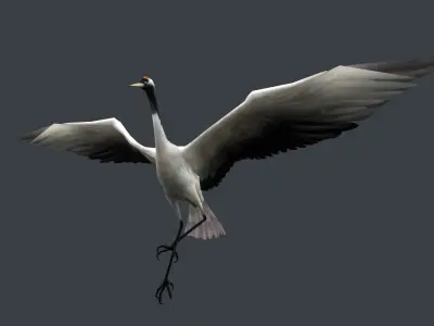 low-poly animated crane bird Low-poly 3D model