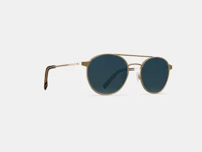 Fisher Sunglasses in Polished Gold 3D model