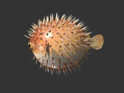  Puffer fish01 Low-poly 3D model