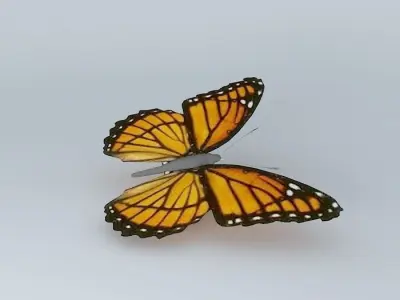 The Viceroy Butterfly 3D model