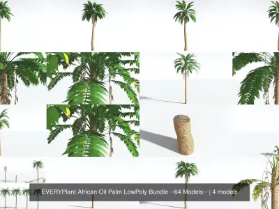 EVERYPlant African Oil Palm LowPoly Bundle --64 Models-- 3D Model Collection