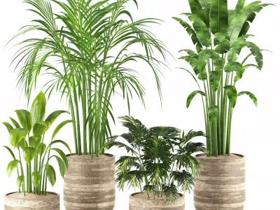 Indoor Plants in Ferm Living Bau Pot Large - Set025 3D model