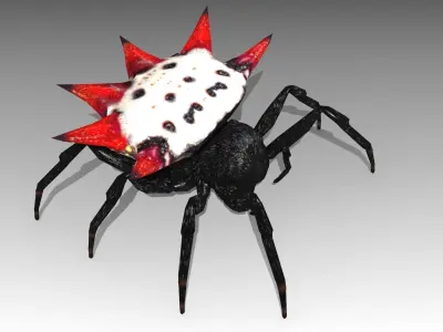 Spinybacked Spider Low-poly 3D model