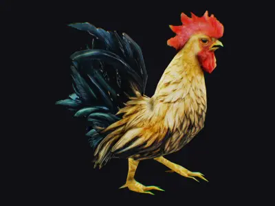 Realistic Rooster Cock Farm Bird Animated Mammal Birds Chicken Low-poly 3D model