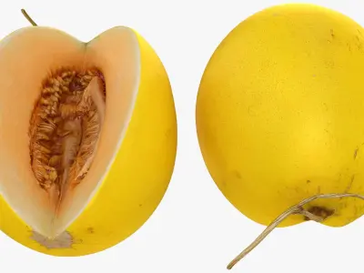 Golden&nbsp;Cantaloupe Cut 3D model