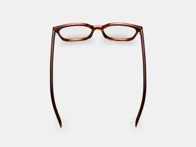 Weathers Eyeglasses in Rye Tortoise 3D model