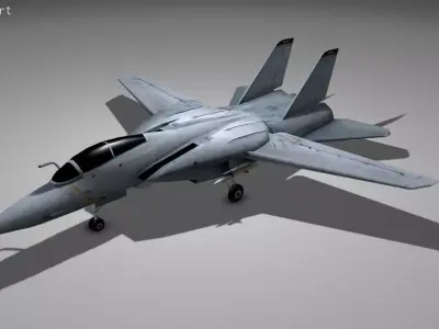 F14 TOMCAT Low-poly 3D model