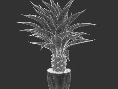  Agave Plant Succulent Potted Plant Model 