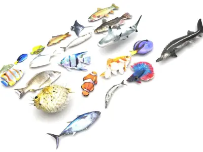 Sea Creatures Collection 3D model