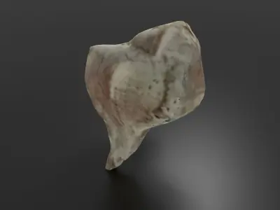 Photoscanned low poly sea shell Free low-poly 3D model