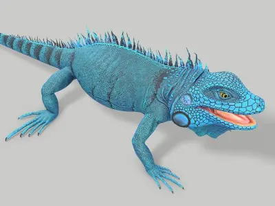 Iguana Blue Low-poly 3D model