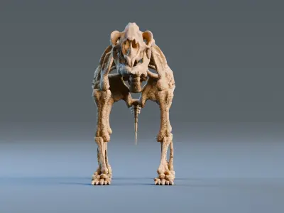 Relistic Mammals Fossil - Diprotodon Low-poly 3D model