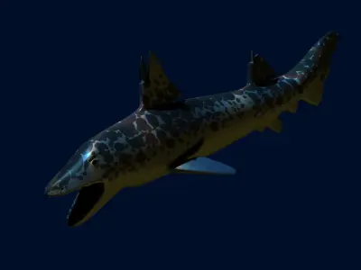 Hybodus shark Low-poly 3D model