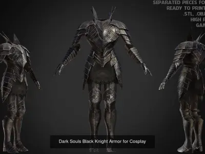 Dark Souls Black Knight Full Armor Halberd Shield for Cosplay 3D Model Collection