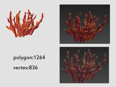 seaweed coral underwater plant aquatic  Low-poly 3D model