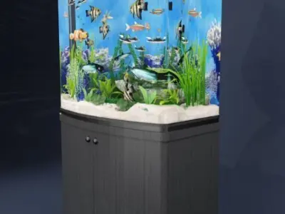 aquarium fish tank 3D model