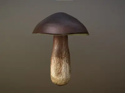 Mushroom - Boletus Edulis Free low-poly 3D model