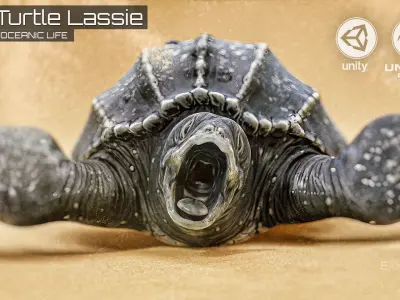 Sea Turtle - Lassie Reptile - Underwater Monster Creature - 36 Low-poly 3D model
