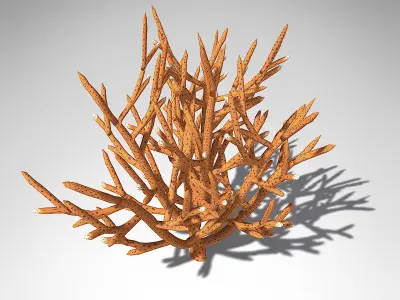 XfrogPlants Birds Nest Coral 3D model