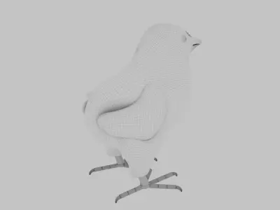 Chicken Model Free 3D model